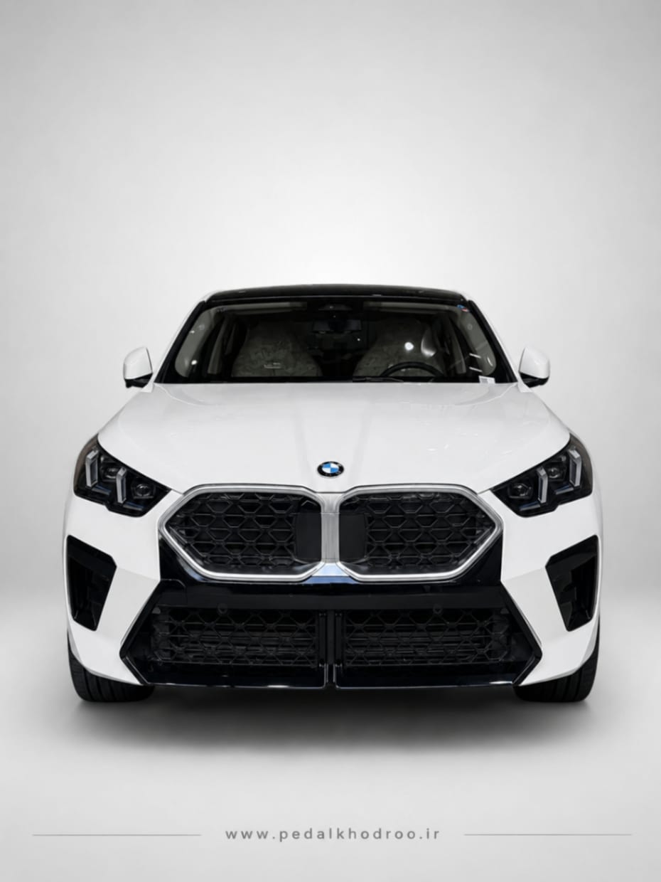 BMW X2 - 6